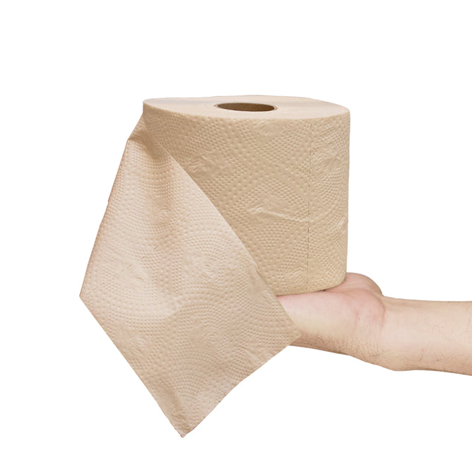 A hand holds a roll of TUSHY Bamboo Toilet Paper with a sheet hanging down against a white background—perfect for eco-conscious and bidet users.