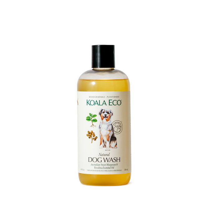 A 500ml bottle of Koala Ecos Natural Dog Wash, featuring a black cap and a label with a dog and botanical illustrations, emphasizes its hypoallergenic formula enriched with essential oils and native Australian botanicals.