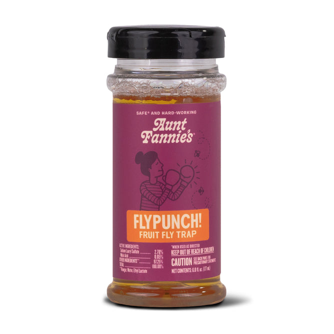 A tall glass jar labeled FlyPunch! Fruit Fly Trap by Aunt Fannies, featuring a vibrant purple and orange design, stands ready for action. This nontoxic trap sports a cartoon with boxing gloves, highlighting its effective pest control while ensuring safety.