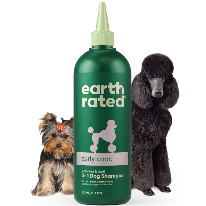 The Earth Rated 3-in-1 Curly Coat Dog Shampoo, featuring a poodle silhouette and white tea & basil scent, is beside a small dog with a bow and a large curly-haired black dog, both enjoying their tangle-free grooming session.