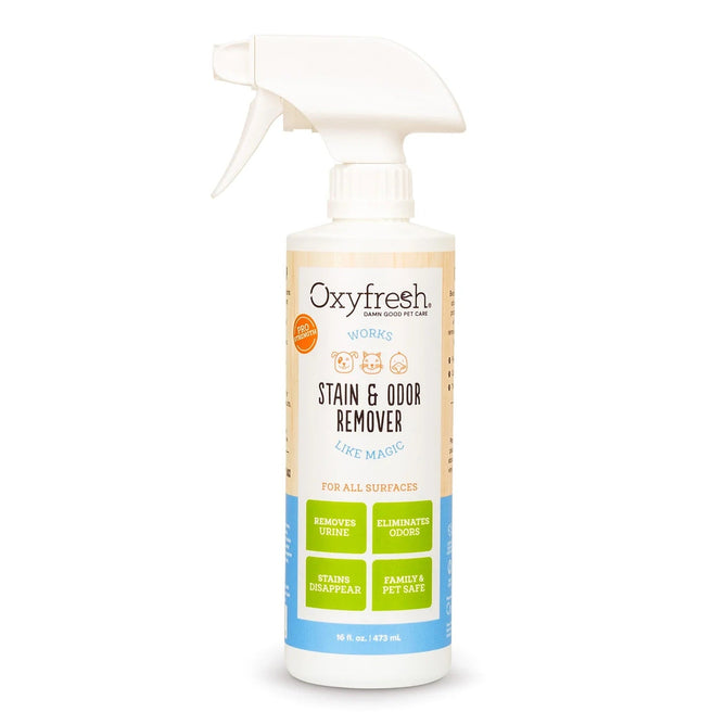 The Oxyfresh All-Surface Pet Stain & Odor Eliminator, in a 16 fl oz (473 mL) spray bottle, effectively removes pet stains and odors from all surfaces, highlighting its safe use for families and pets.