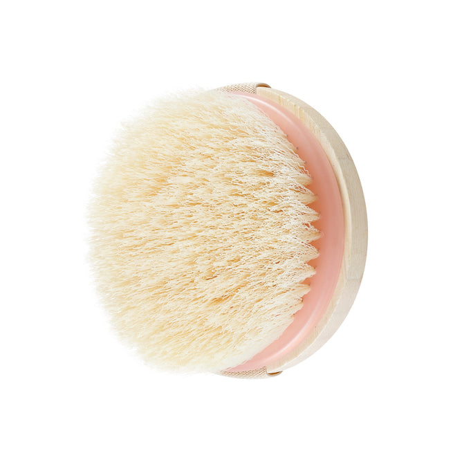 The EcoTools Dry Body Brush, made from sustainable wood and featuring soft, densely packed bristles with a pink handle, is elegantly displayed against a plain white background.