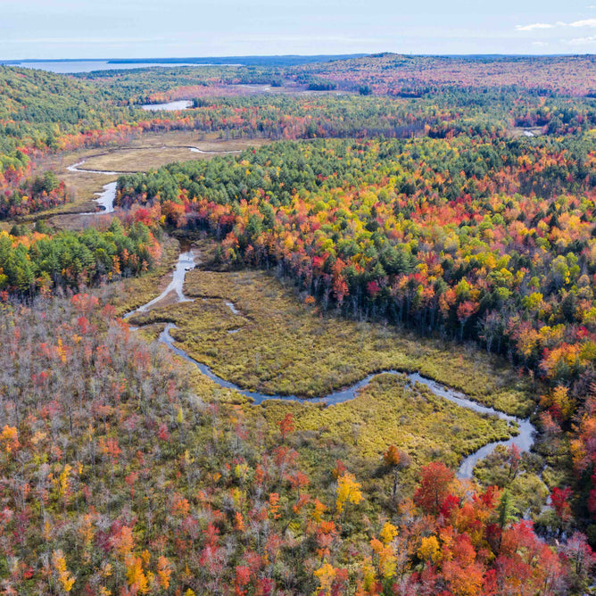 From above, a river snakes through vibrant fall-colored forests under a clear sky, showcasing reds, oranges, and yellows—a natural spectacle akin to Sebago Lakes pure waters. Protect Safe Drinking Water in Maine by Grove Collaborative preserves such pristine environments.