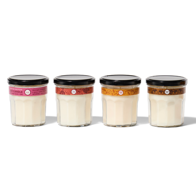 The Fall Soy Candle Collection by Mrs. Meyers features four white-wax glass jar candles with black lids and colorful labels, arranged in a row on a white background.