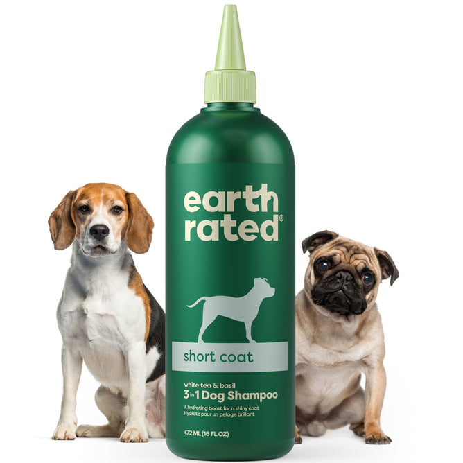 A big green Earth Rated bottle of 3-in-1 Short Coat Dog Shampoo, featuring white text and a dog silhouette, sits between a beagle on the left and a pug on the right. It emphasizes nurturing ingredients like argan oil.