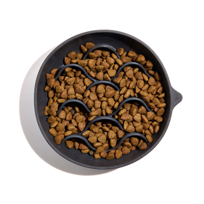 The Wild One Lick Bowl, a round gray slow feeder with wave-shaped ridges, is filled with brown kibble. It encourages slower eating for healthier habits and improved digestion. The background is plain white.