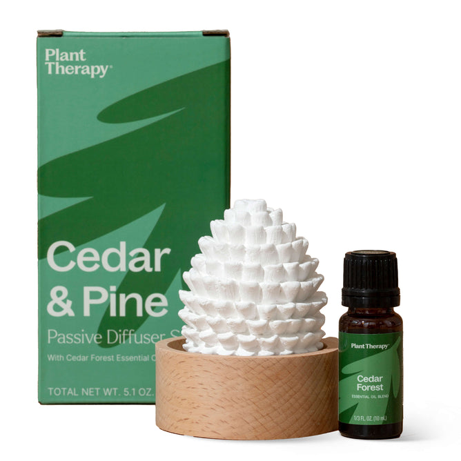 The Cedar & Pine Passive Diffuser Set from Plant Therapy includes a pinecone-like white diffuser on a wooden base, resembling a lotus, and comes with a Cedar Forest Essential Oil Blend. It is elegantly packaged in a green box labeled Plant Therapy Cedar & Pine Passive Diffuser Set.