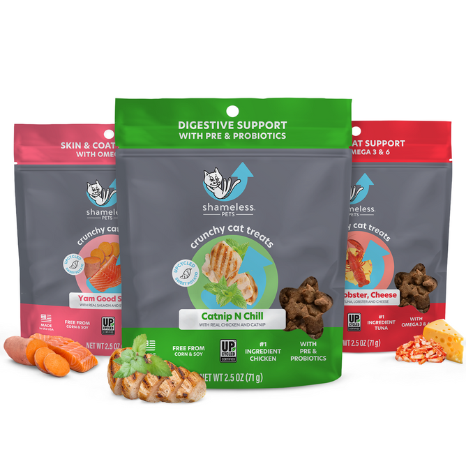Three bags of Shameless Pets Cat Treats, Variety Pack are shown: Catnip N Chill front and center, with Yam Good Salmon and Lobster, Cheese behind. Featuring carrots and cheese, the treats emphasize tasty sustainability in every crunchy bite.