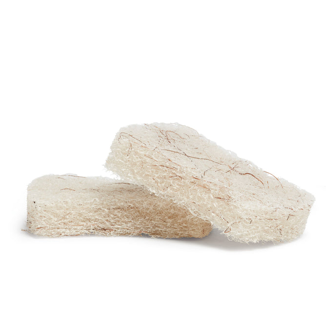Two white Coconut Scouring Pads from Grove Co. are shown: one upright, one flat. With a texture similar to a coconut scour, these pads effectively exfoliate skin and easily tackle stubborn food messes while being gentle.