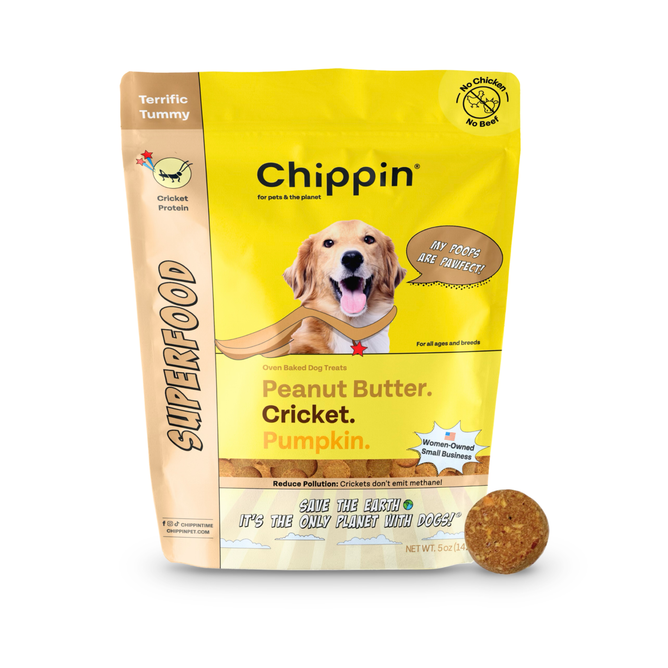 The Chippin Superfood Cricket & Peanut Butter Dog Treats package, adorned with a happy dog, flaunts flavors like peanut butter, cricket, and pumpkin. It promotes gut health with its Terrific Tummy, eco-friendly cricket protein. A treat rests beside the sustainable treats package.